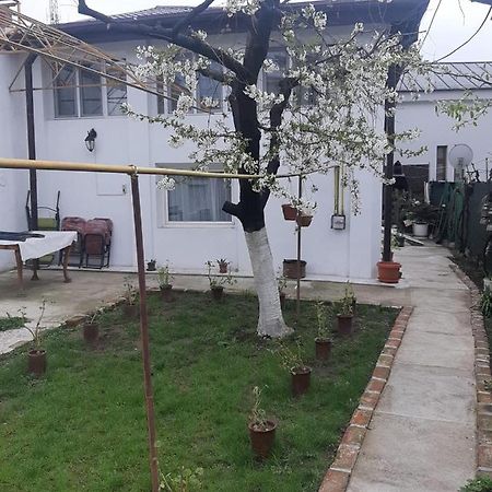 House Hotel Craiova Buitenkant foto