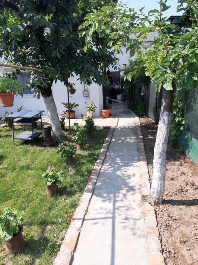 House Hotel Craiova Buitenkant foto