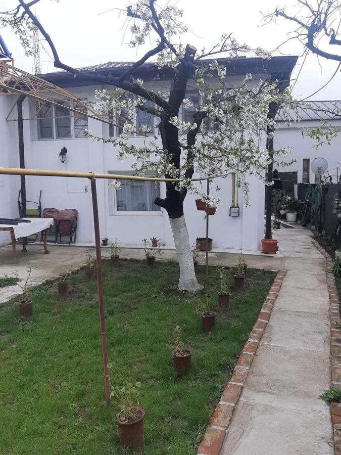 House Hotel Craiova Buitenkant foto
